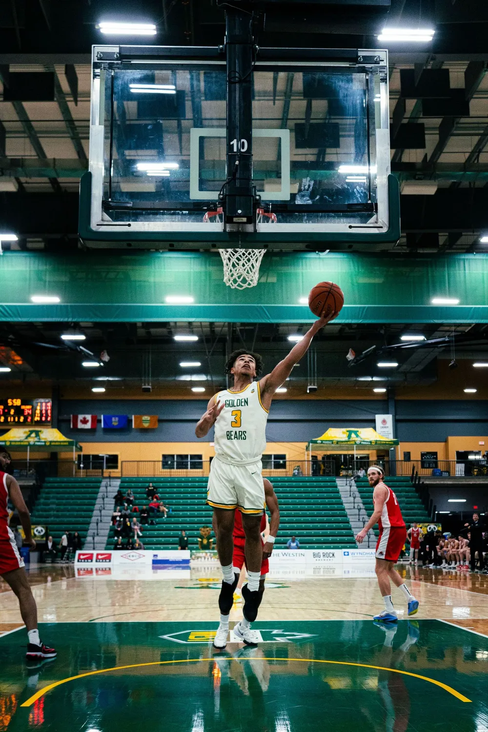 UofA Golden Bears basketball layup