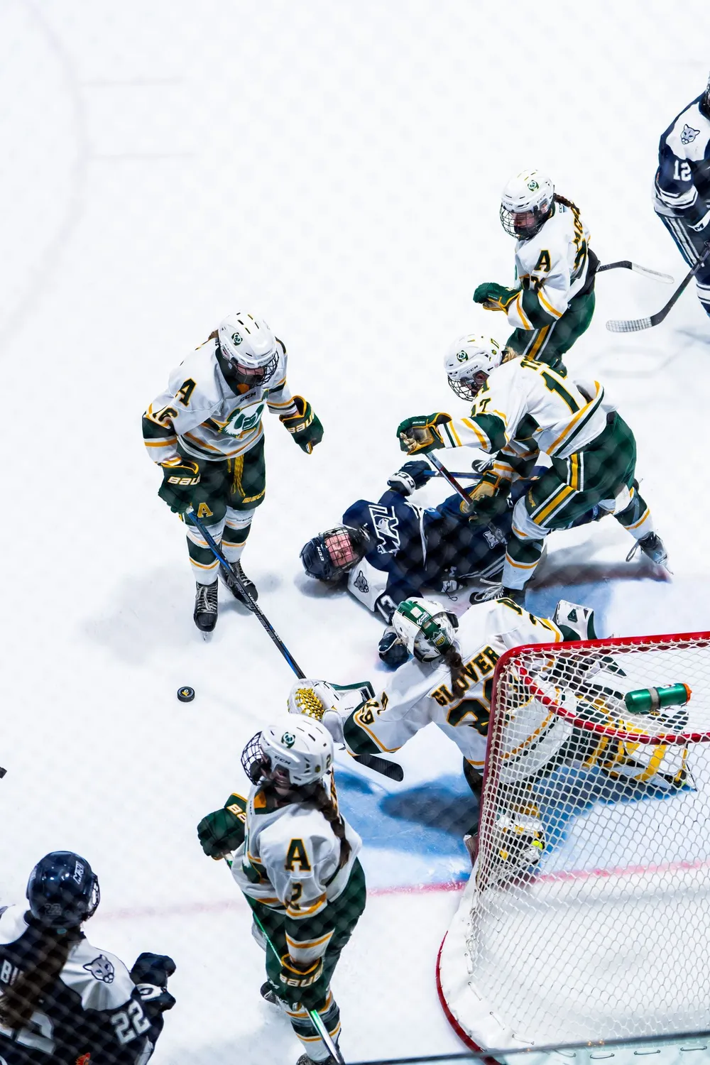 UofA Pandas Canada West Semifinal hockey