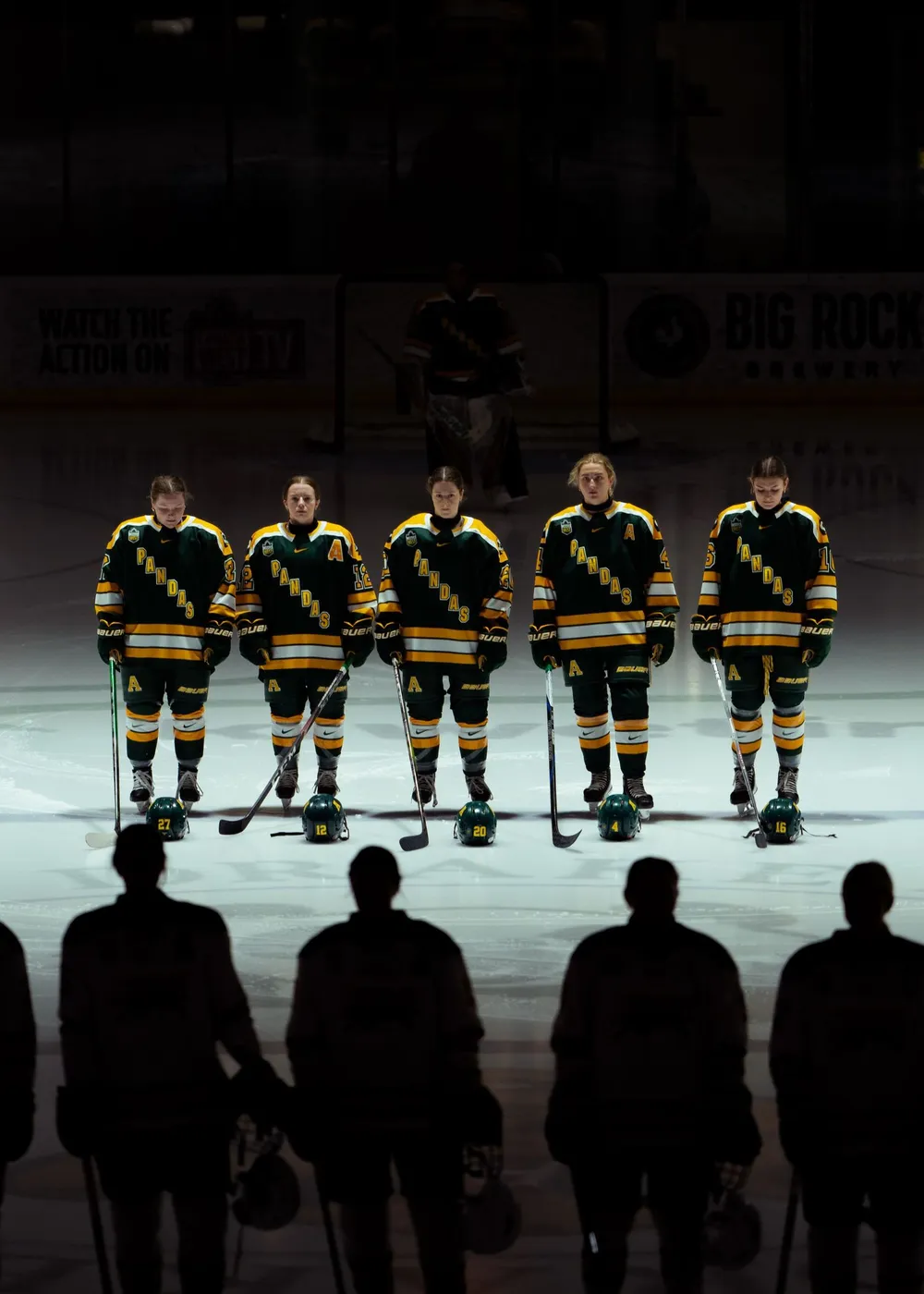 UofA Pandas vs Cougars hockey
