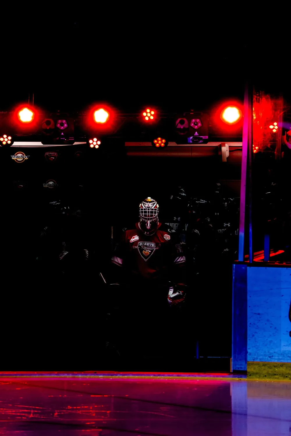 Vancouver Giants vs Everett Silvertips action at Langley Events Centre